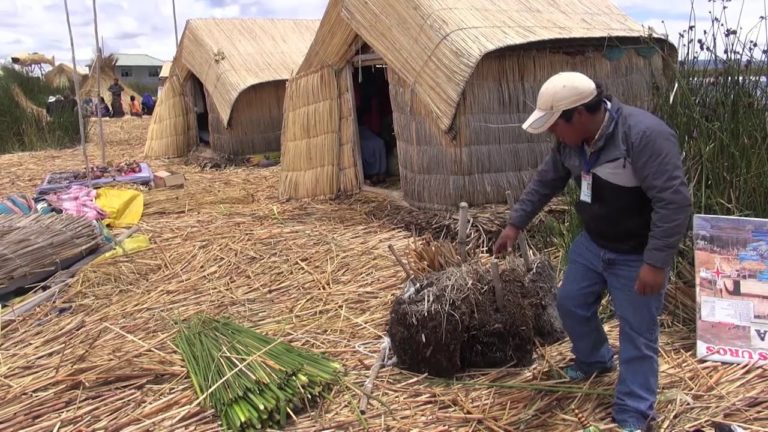 Mirá cómo se construyen las Islas Flotantes de Los Uros en Perú