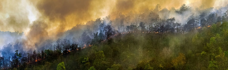 El humo de los incendios forestales y el COVID-19