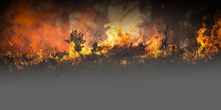 Sepa qué hacer en caso de incendio forestal