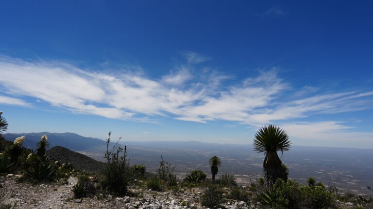 Peregrinando en el Desierto