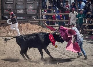 Tarde Taurina San Juan Bosco El Cañar Ecuador