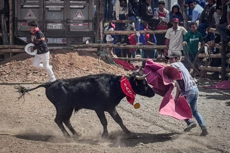 Tarde Taurina San Juan Bosco El Cañar Ecuador
